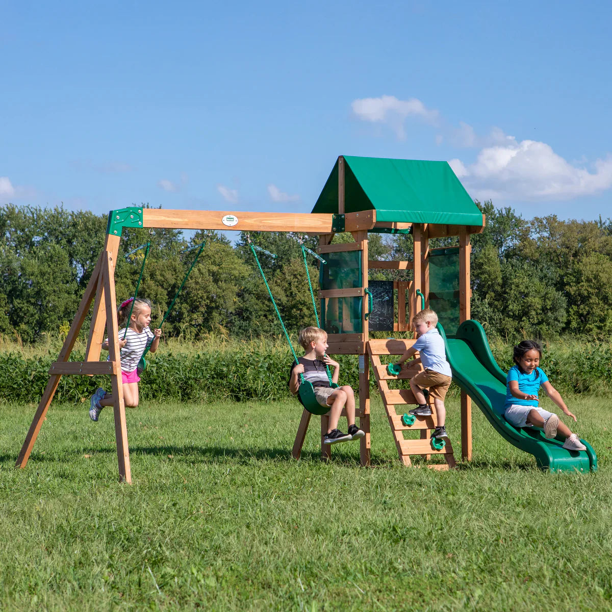 Backyard Discovery Buckley Hill Cedar Wood Swing Set image 1
