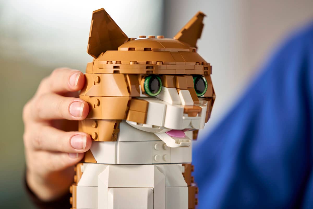 LEGO 21376 Ideas Orange Cat
