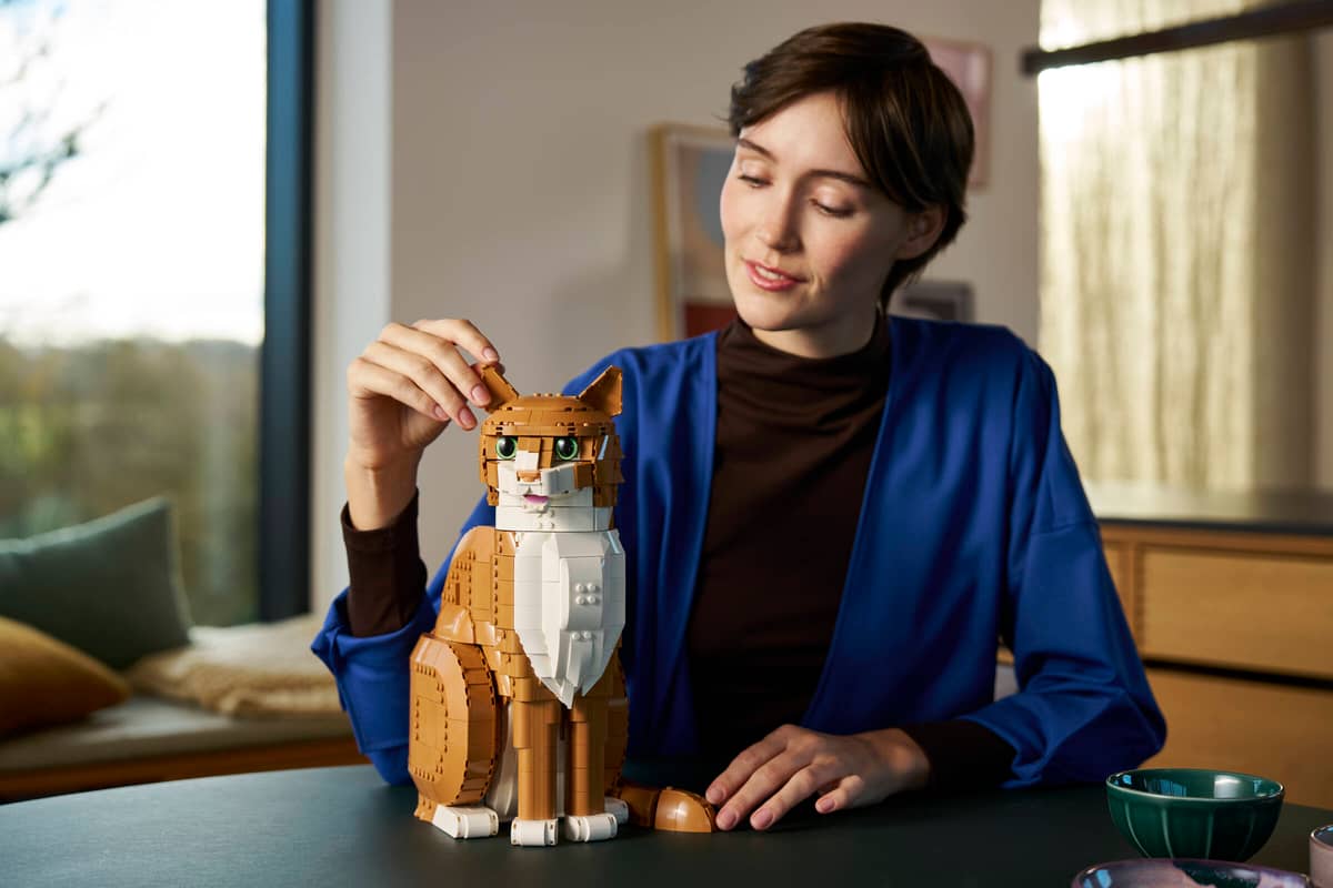 LEGO 21376 Ideas Orange Cat