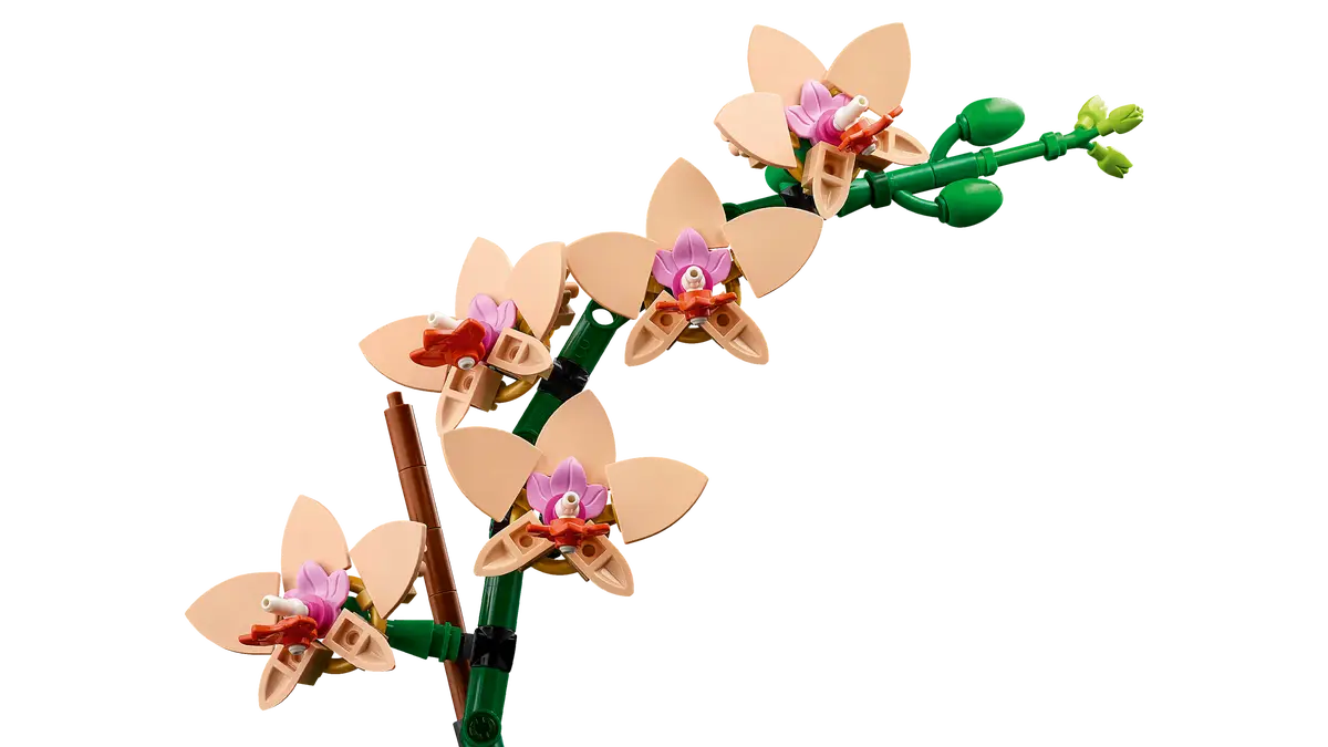 LEGO 10343 Botanicals Mini Orchid image 4