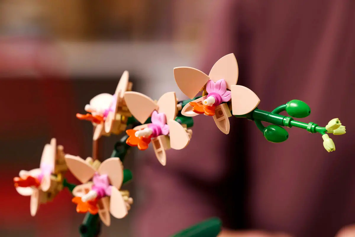 LEGO 10343 Botanicals Mini Orchid image 6
